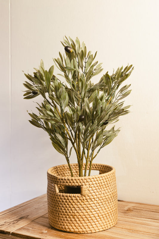 Olive Tree Faux Plant 50cm