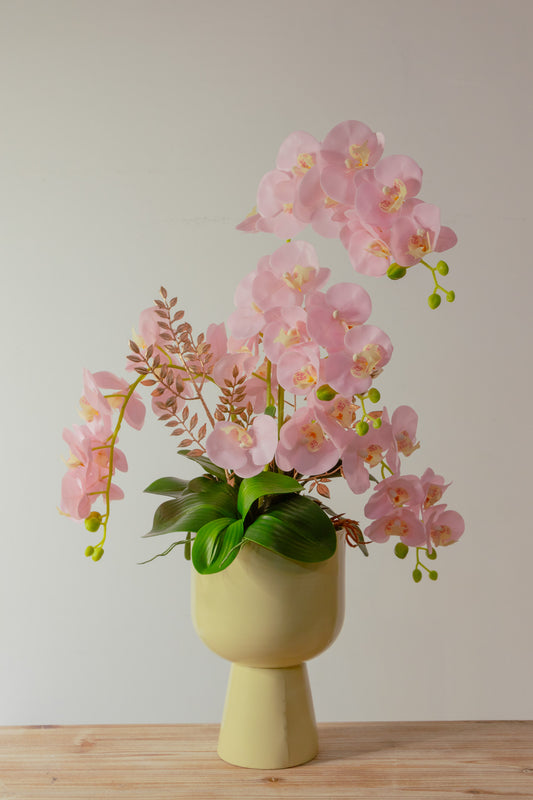 Blush Orchid Embrace