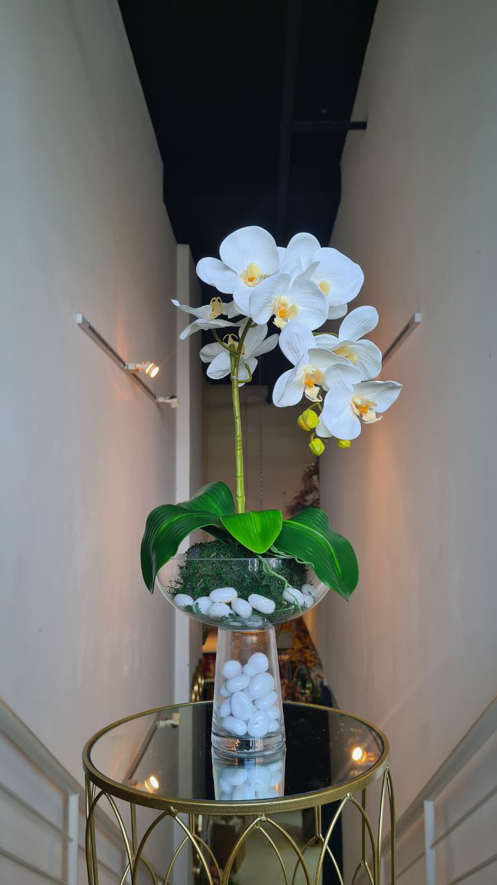 Mini Elevated Phalaenopsis Floral Arrangement (1 stalk)