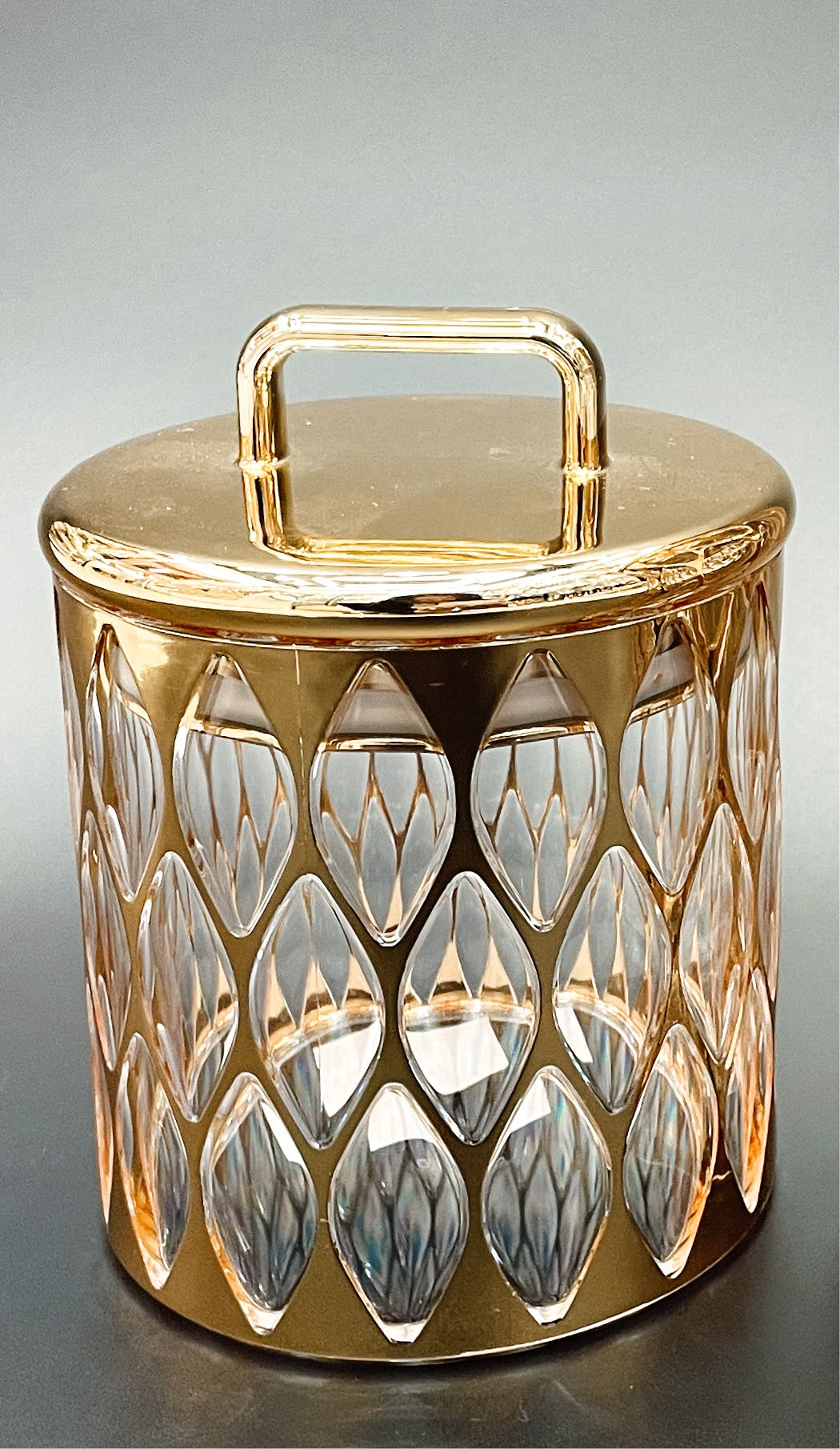 Gold Cage Acrylic Airtight Canister