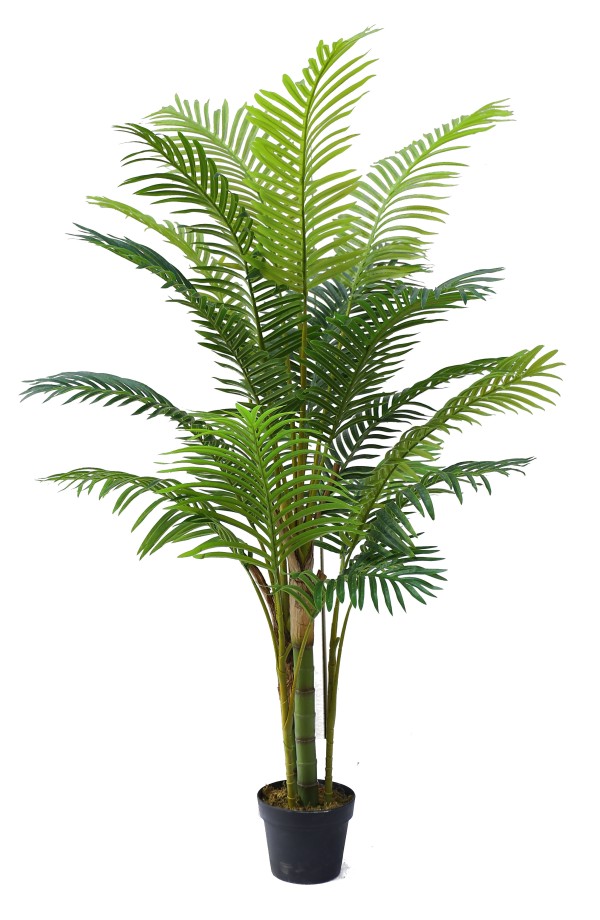 Areca Faux Potted Palm 180cm